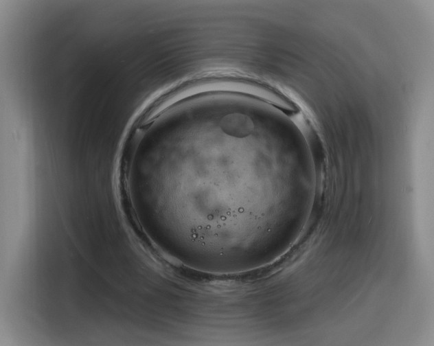 X0000116130391200911231239