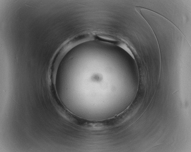 X0000116130395200911231239