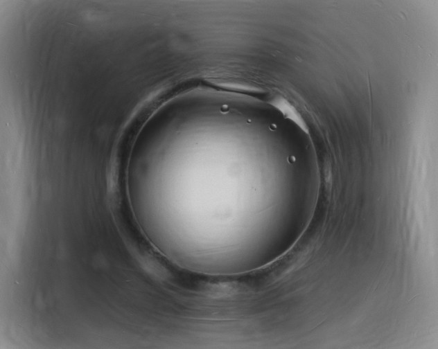 X0000116130396200911231239