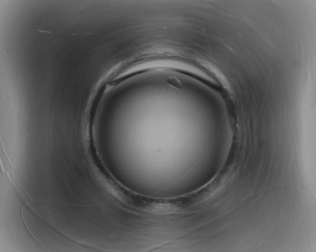 X0000116130399200911231239