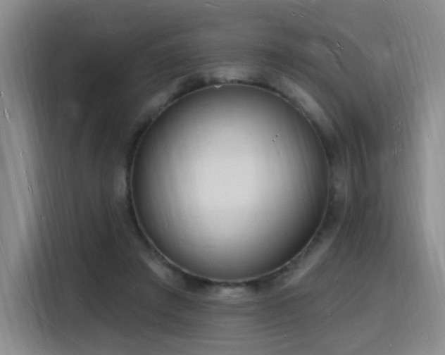X0000116130401200911231239
