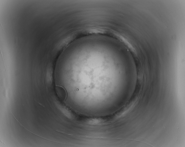 X0000116130402200911231239