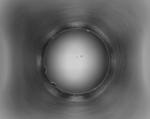 X0000116130403200911231239