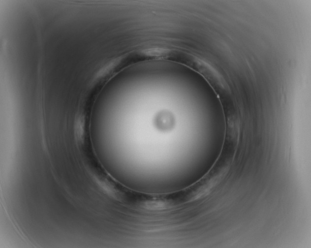 X0000116130404200911231239