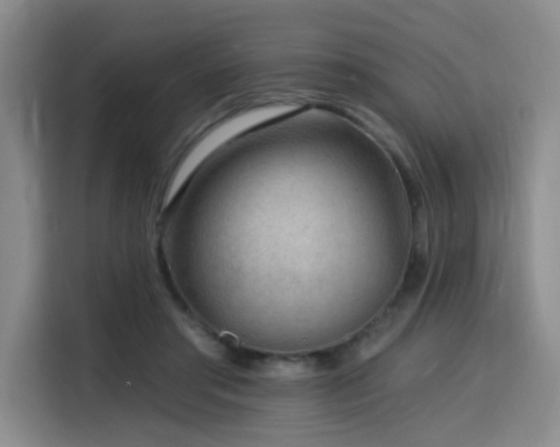 X0000116130405200911231239