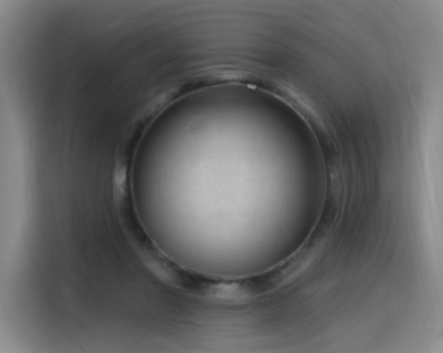 X0000116130406200911231239