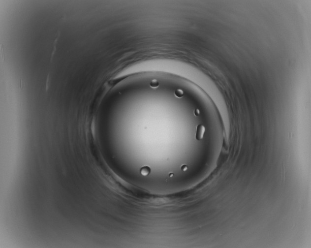 X0000116130409200911231239