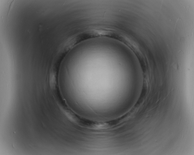 X0000116130410200911231239
