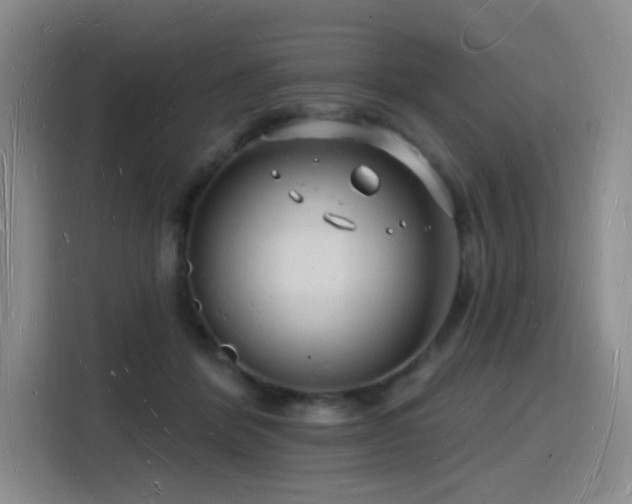 X0000116130412200911231239