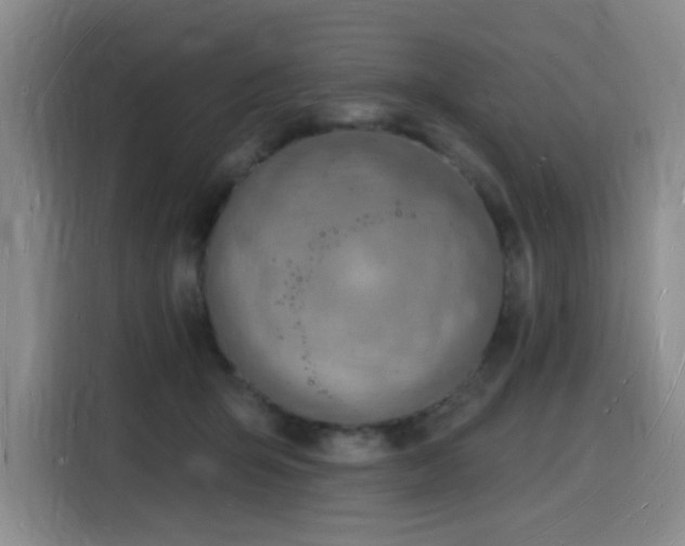 X0000116130415200911231239