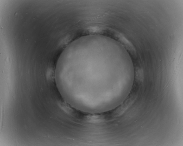 X0000116130419200911231239