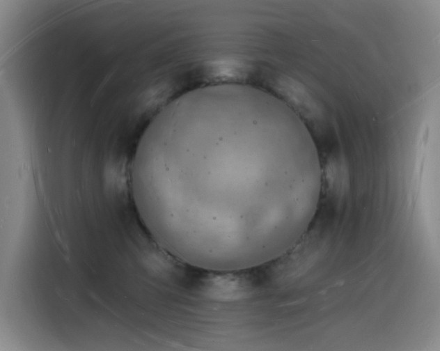 X0000116130423200911231239