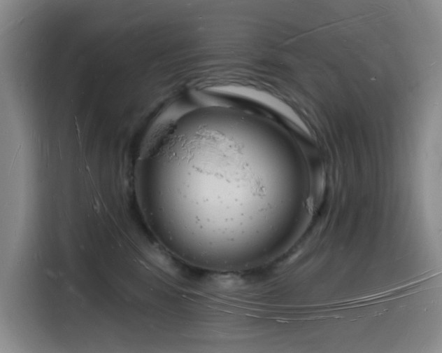 X0000116130424200911231239