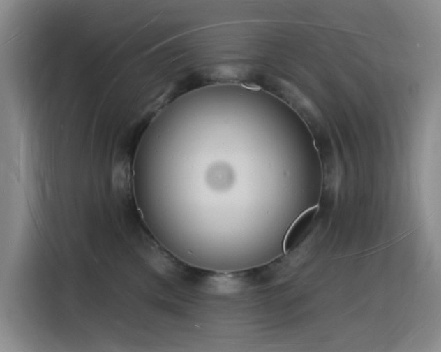X0000116130425200911231239