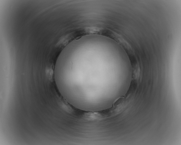 X0000116130427200911231239