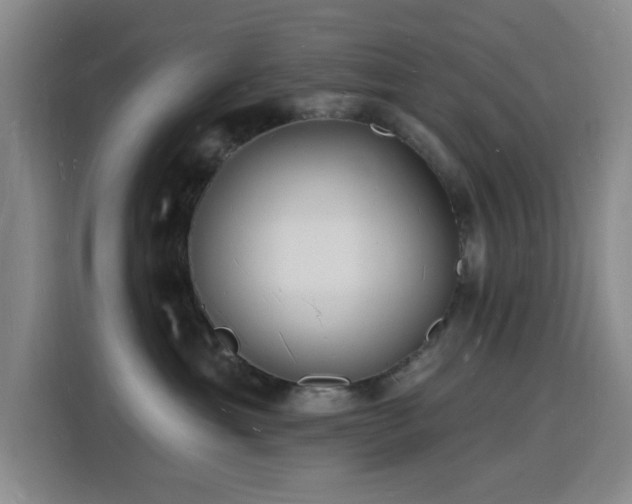 X0000116130429200911231239