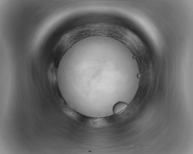 X0000116130431200911231239