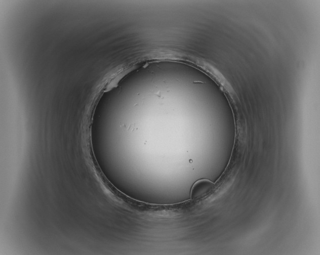 X0000116130433200911231238