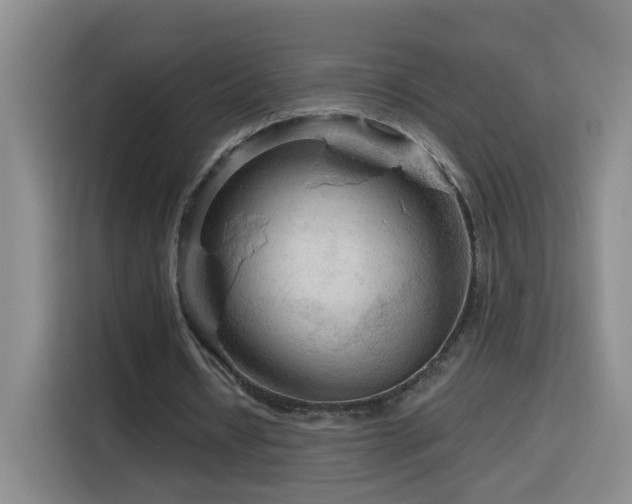 X0000116130434200911231238