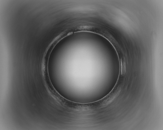 X0000116130435200911231238
