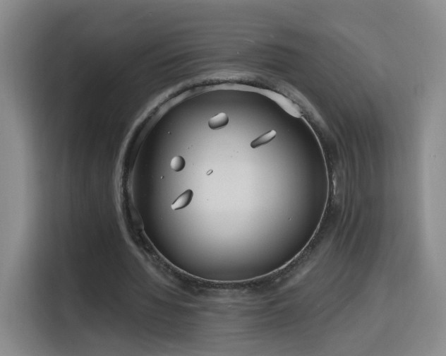 X0000116130436200911231238
