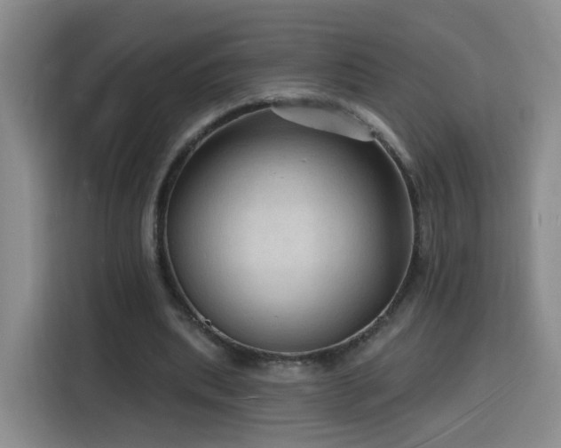 X0000116130439200911231238