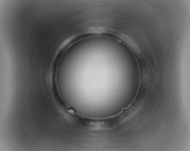 X0000116130440200911231238
