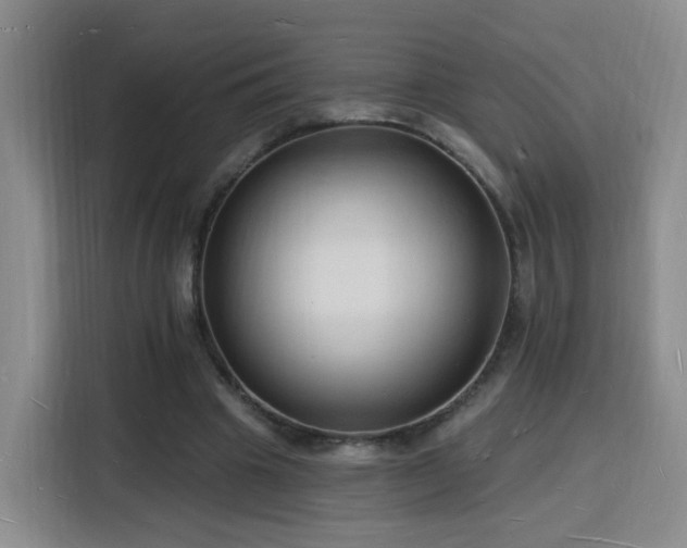 X0000116130441200911231238