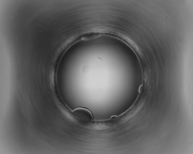 X0000116130445200911231238