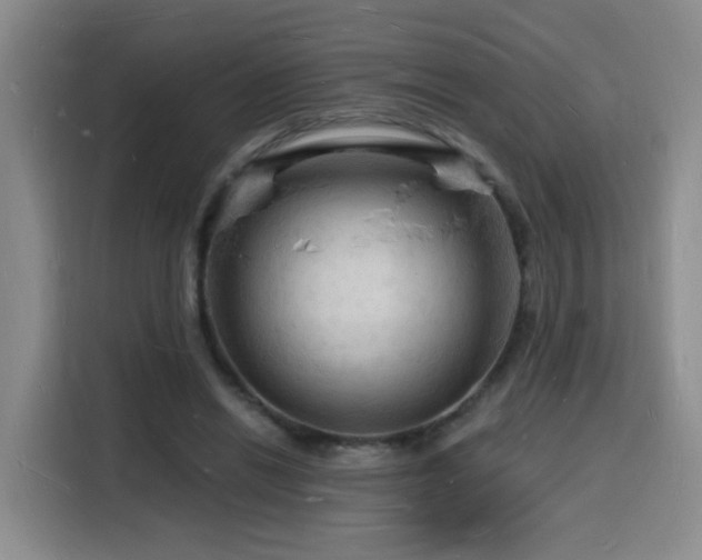 X0000116130446200911231238