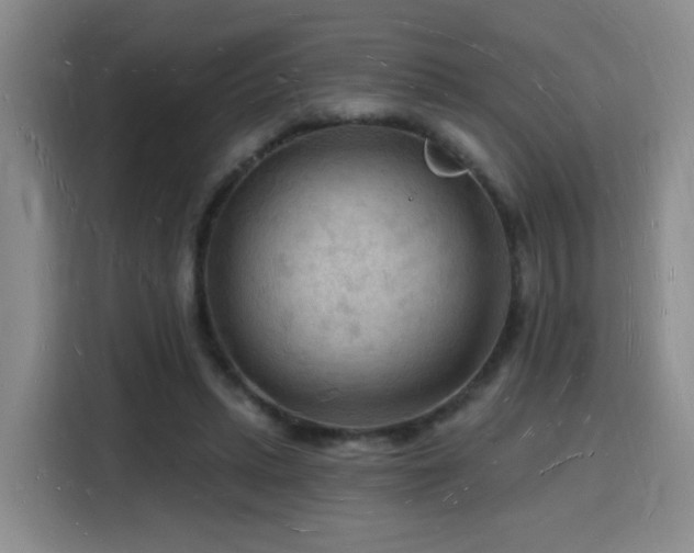 X0000116130447200911231238