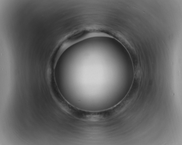 X0000116130448200911231238