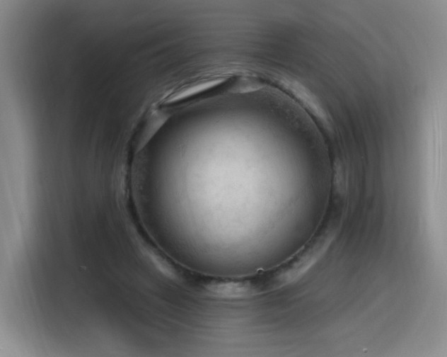 X0000116130449200911231238