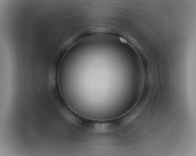 X0000116130450200911231238