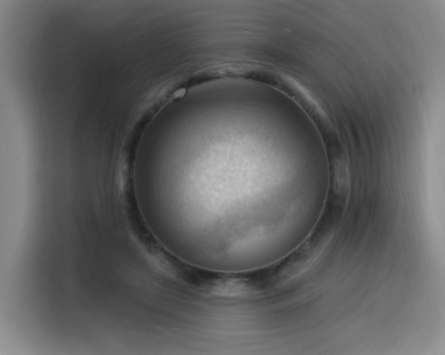 X0000116130451200911231238