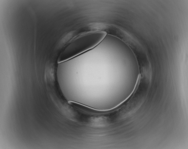 X0000116130452200911231238