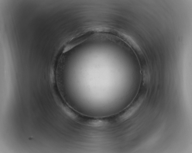 X0000116130453200911231238