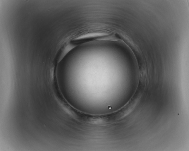 X0000116130454200911231238