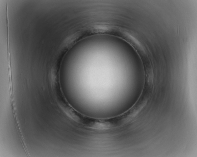 X0000116130455200911231238
