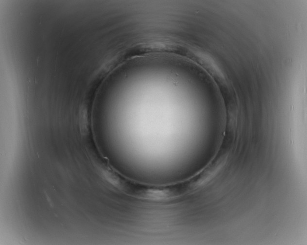 X0000116130457200911231238