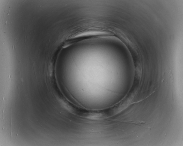 X0000116130458200911231238