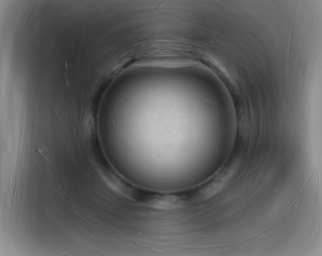 X0000116130459200911231239