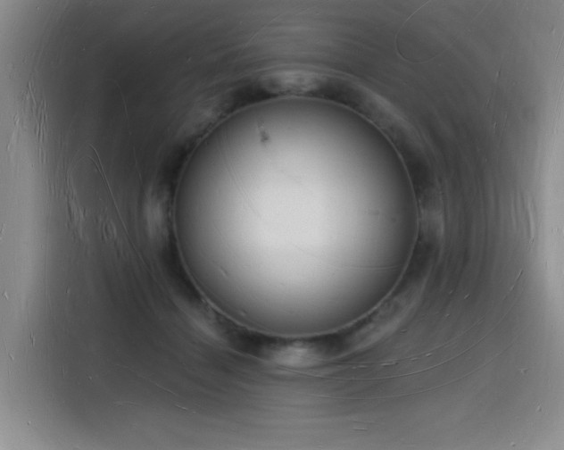 X0000116130460200911231239