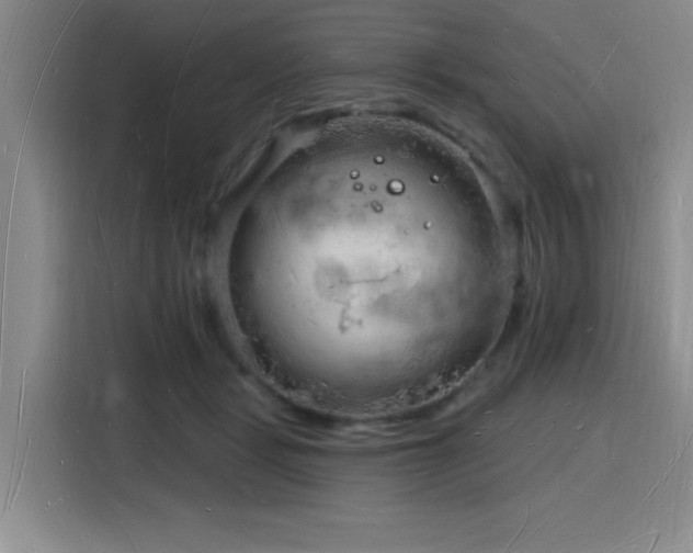 X0000116130461200911231239