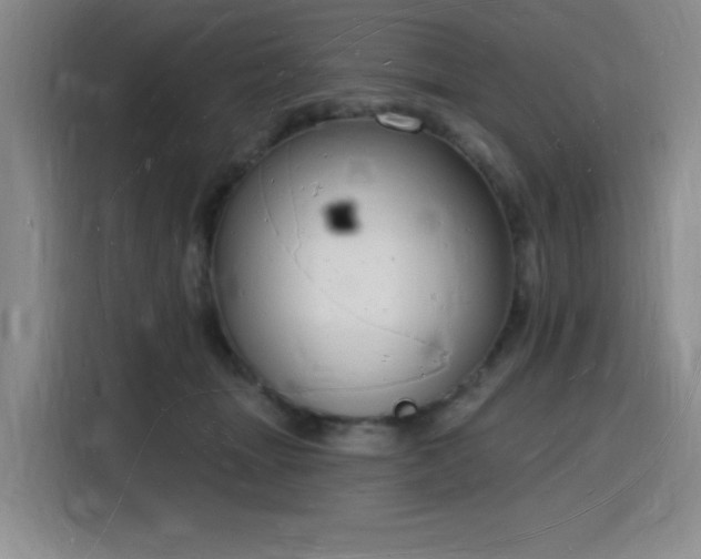 X0000116130463200911231239