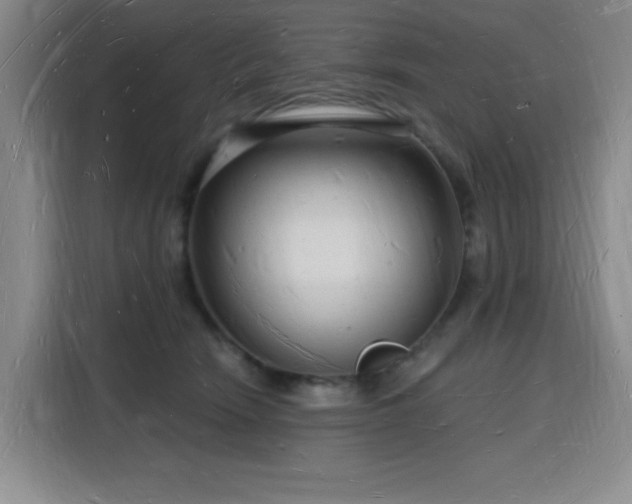 X0000116130466200911231239