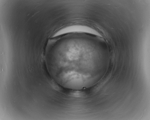 X0000116130467200911231239