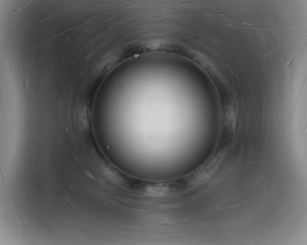 X0000116130470200911231239