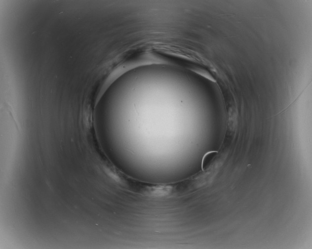 X0000116130474200911231239