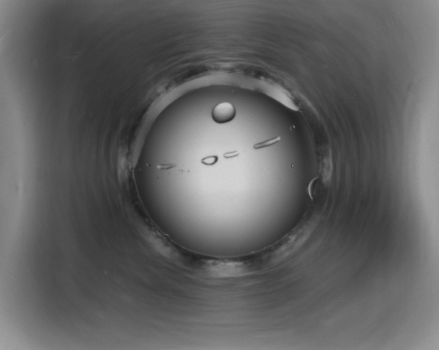 X0000116130476200911231239